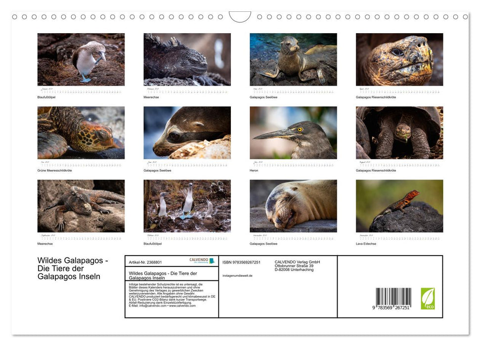 Wildes Galapagos - Die Tiere der Galapagos Inseln (CALVENDO Wandkalender 2027)