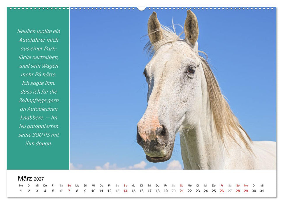 Tiere und feiner Humor (CALVENDO Premium Wandkalender 2027)