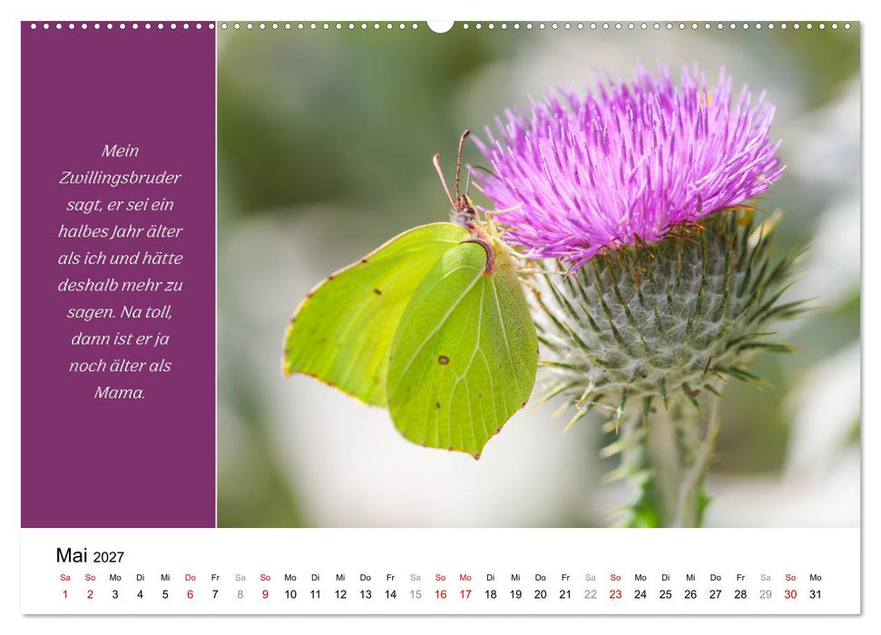 Tiere und feiner Humor (CALVENDO Premium Wandkalender 2027)