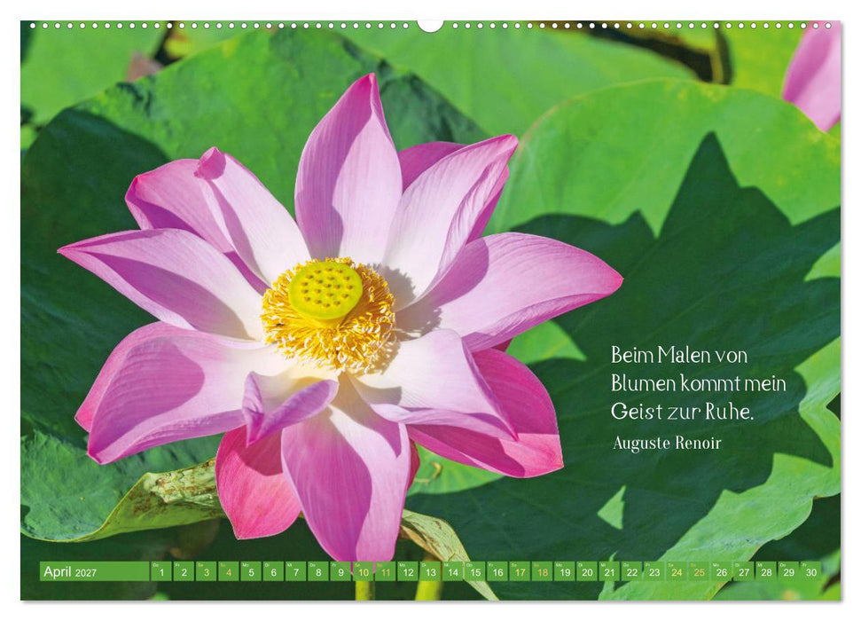 Natur-Meditationen - Nimm Dir Zeit (CALVENDO Wandkalender 2027)