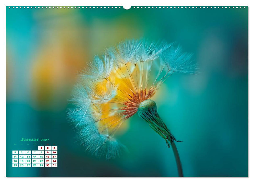 Dem Wind anvertraut (CALVENDO Premium Wandkalender 2027)