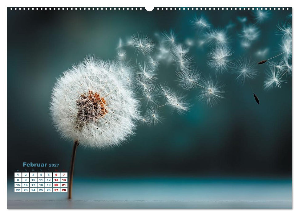 Dem Wind anvertraut (CALVENDO Premium Wandkalender 2027)