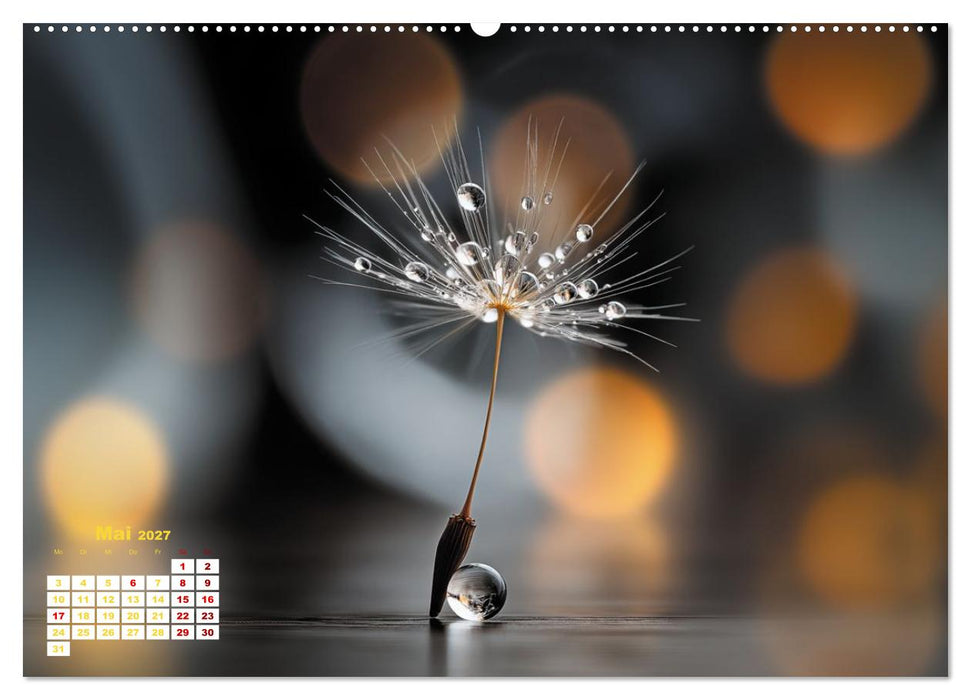 Dem Wind anvertraut (CALVENDO Premium Wandkalender 2027)
