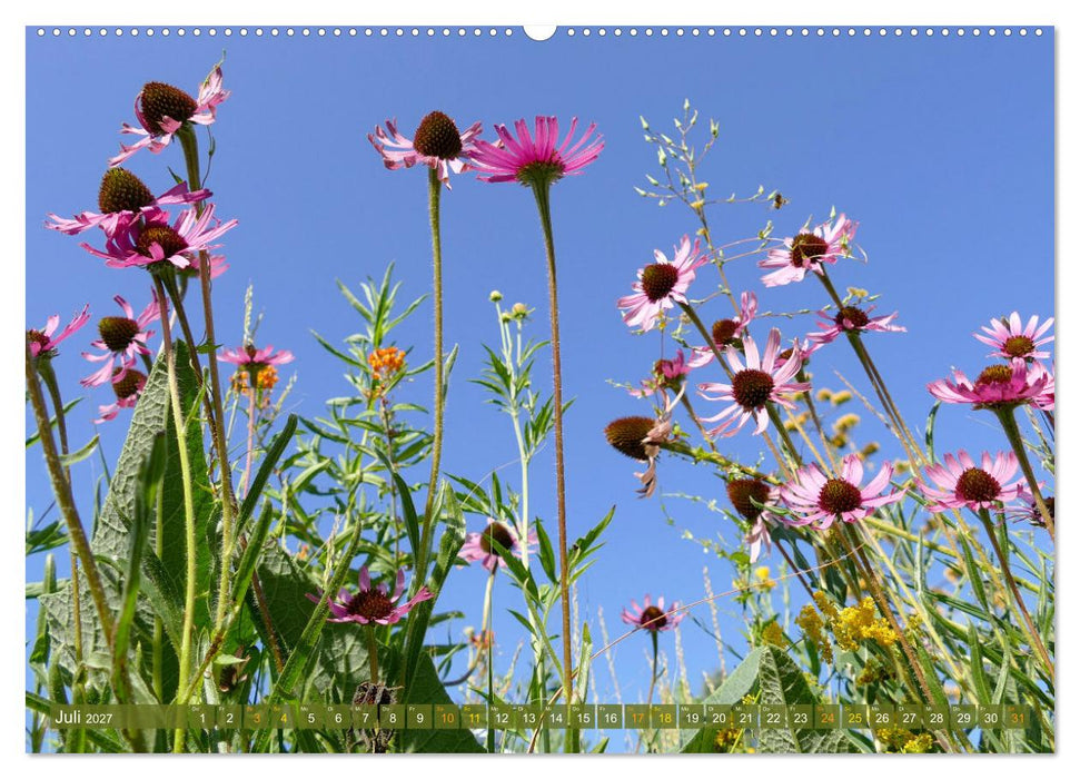Garten von unten. Ein Perspektivwechsel (CALVENDO Premium Wandkalender 2027)