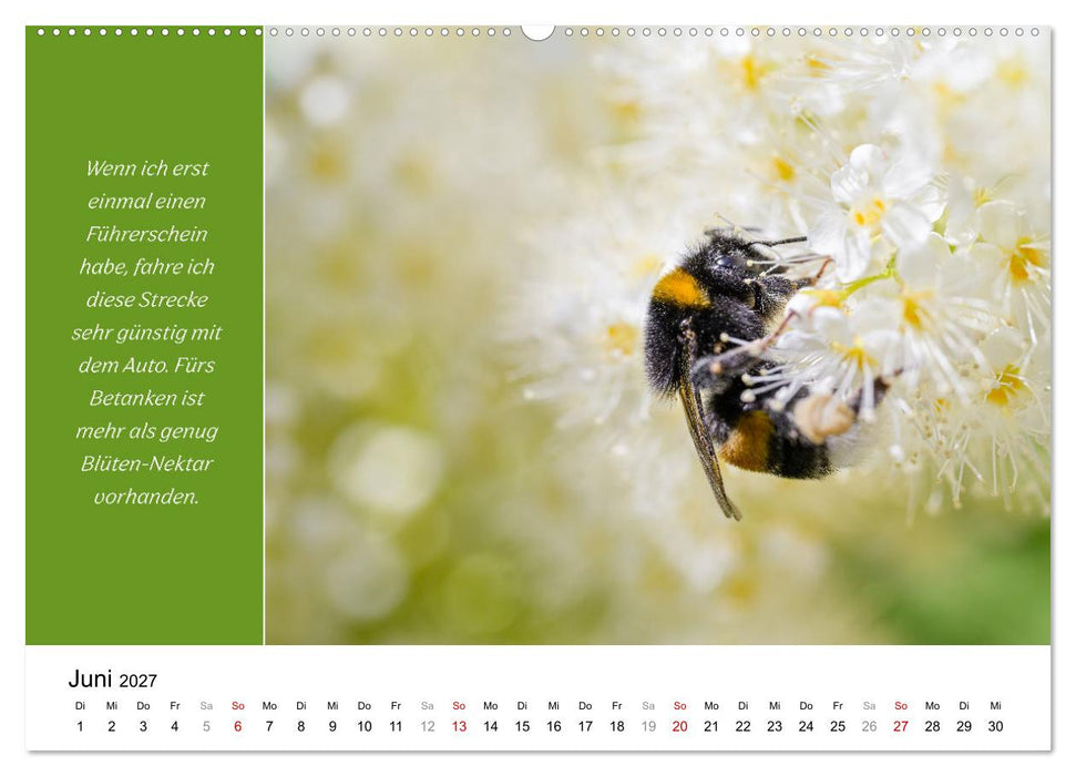 Tiere und feiner Humor (CALVENDO Wandkalender 2027)