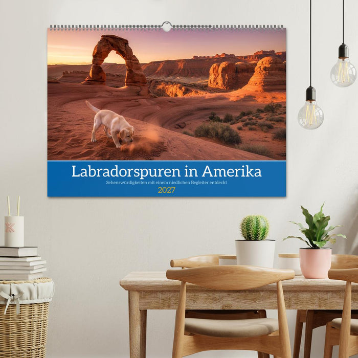 Labradorspuren in Amerika (CALVENDO Wandkalender 2027)