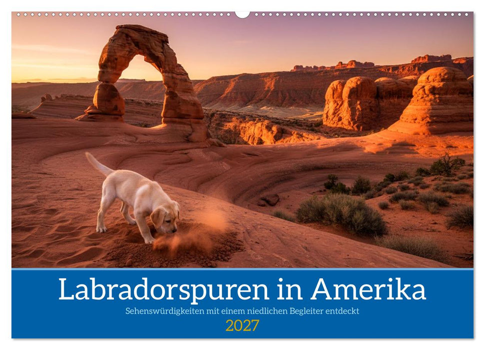 Labradorspuren in Amerika (CALVENDO Wandkalender 2027)
