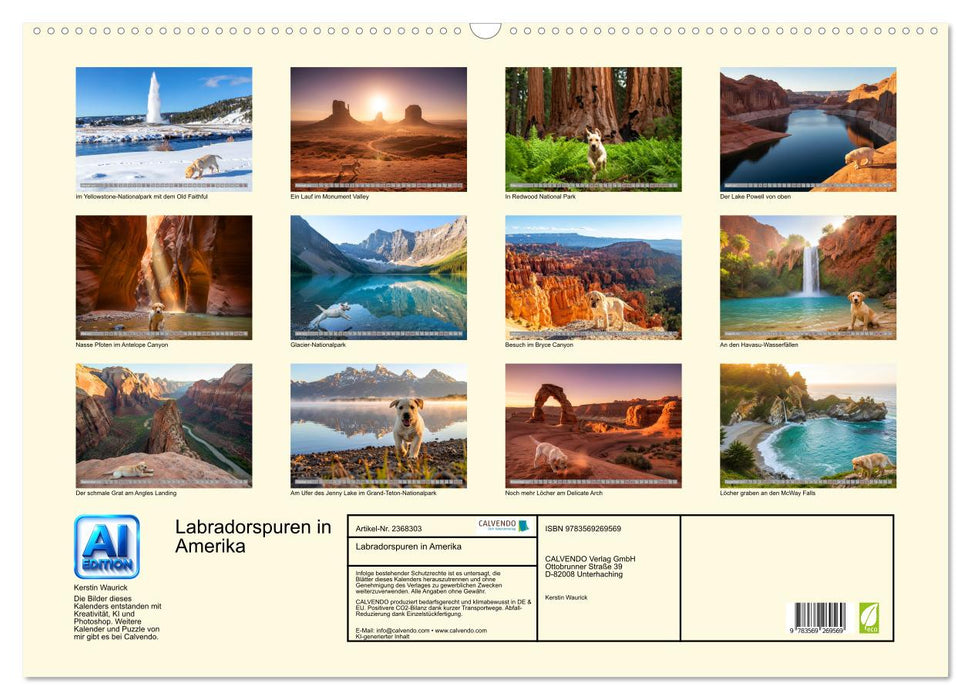 Labradorspuren in Amerika (CALVENDO Wandkalender 2027)