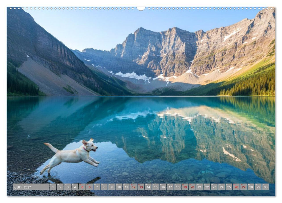 Labradorspuren in Amerika (CALVENDO Wandkalender 2027)