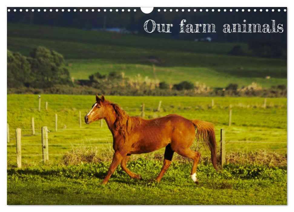 Our farm animals (CALVENDO Monthly Calendar 2027)