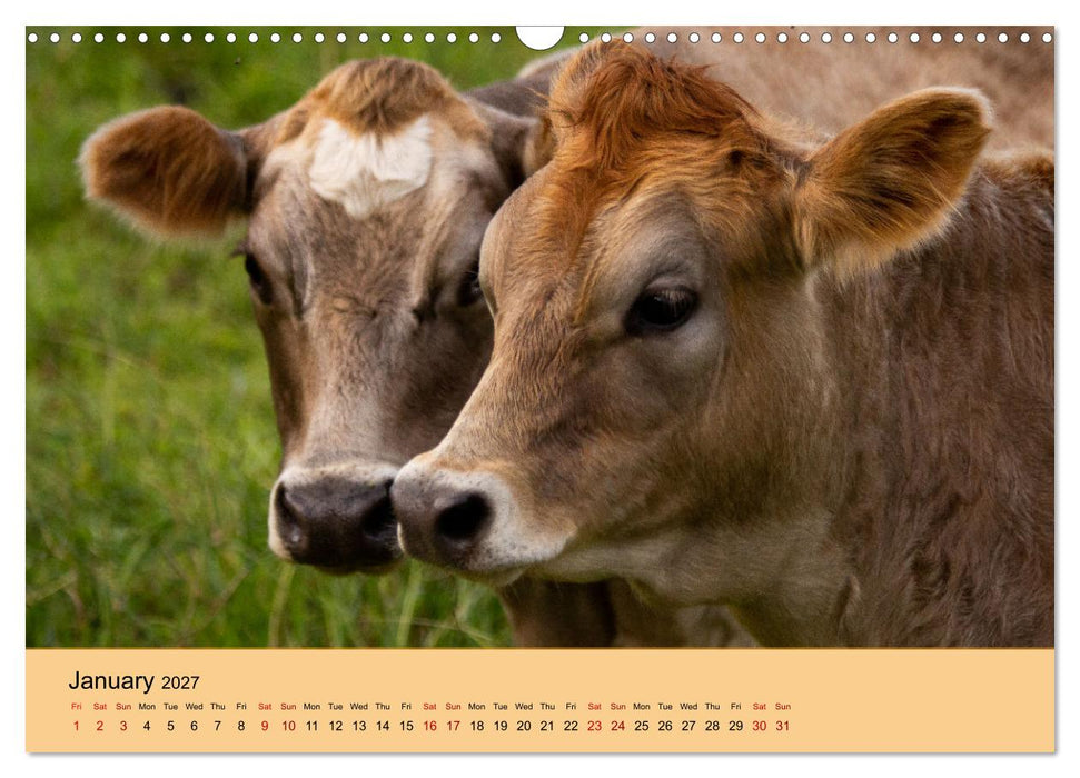 Our farm animals (CALVENDO Monthly Calendar 2027)