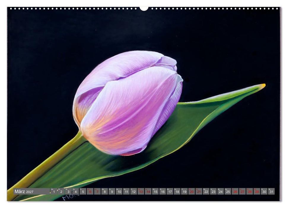 Pastellbilder (CALVENDO Premium Wandkalender 2027)