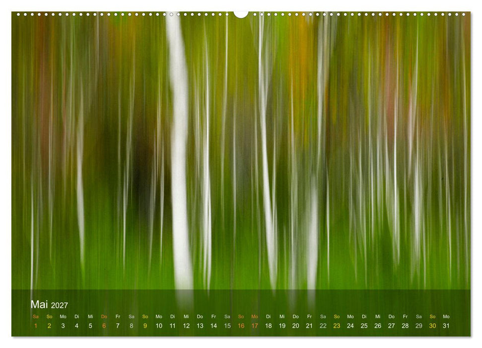 Das Schweigen der Bäume (CALVENDO Premium Wandkalender 2027)