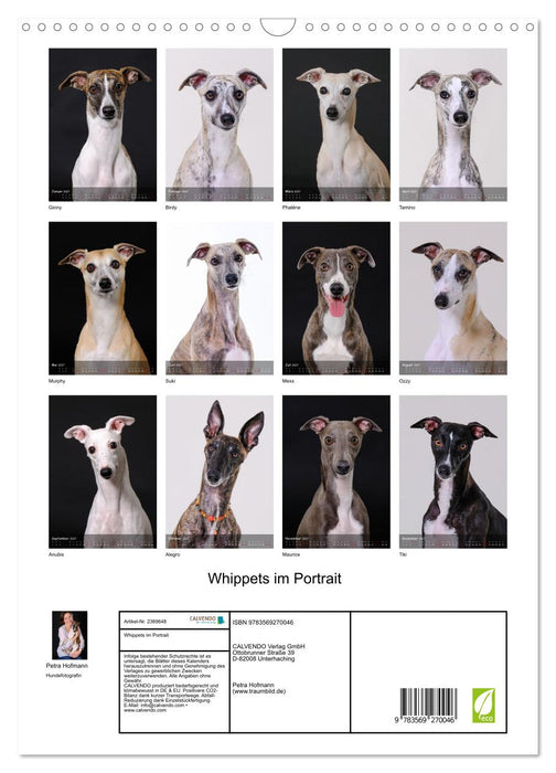 Whippets im Portrait (CALVENDO Wandkalender 2027)