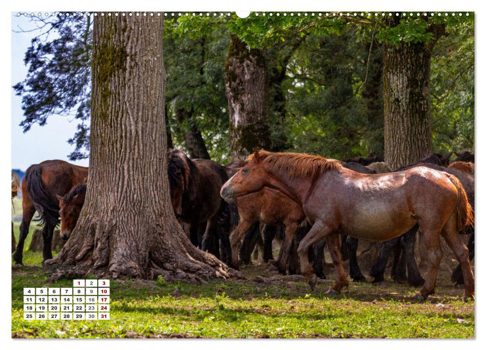Kroatien - Entlang der Save (CALVENDO Premium Wandkalender 2027)