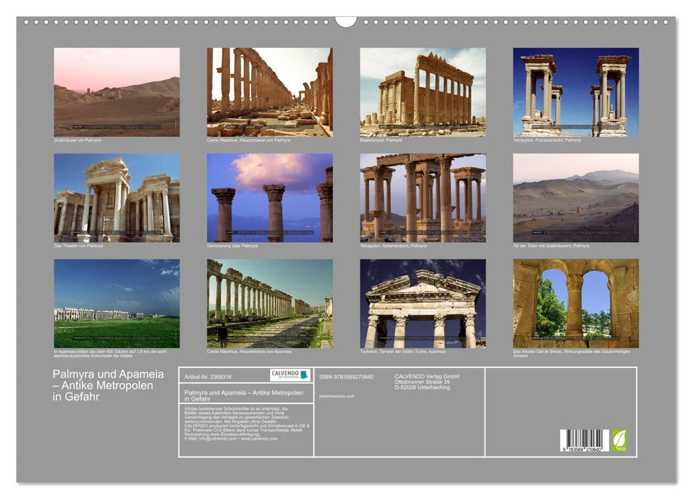 Palmyra und Apameia – Antike Metropolen in Gefahr (CALVENDO Wandkalender 2027)
