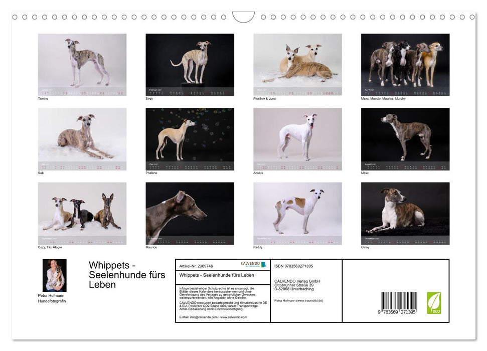Whippets - Seelenhunde fürs Leben (CALVENDO Wandkalender 2027)