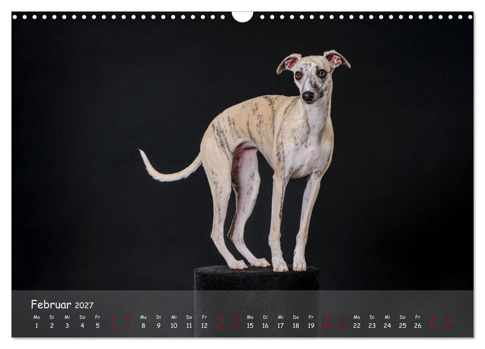 Whippets - Seelenhunde fürs Leben (CALVENDO Wandkalender 2027)