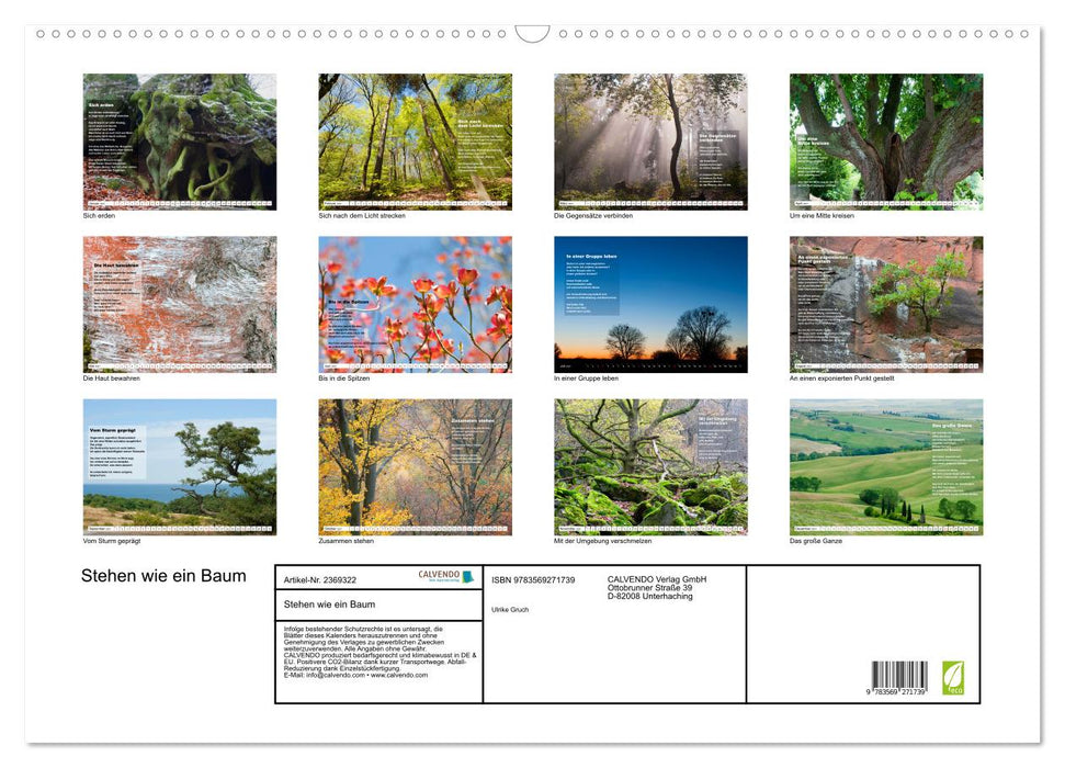 Stehen wie ein Baum (CALVENDO Wandkalender 2027)