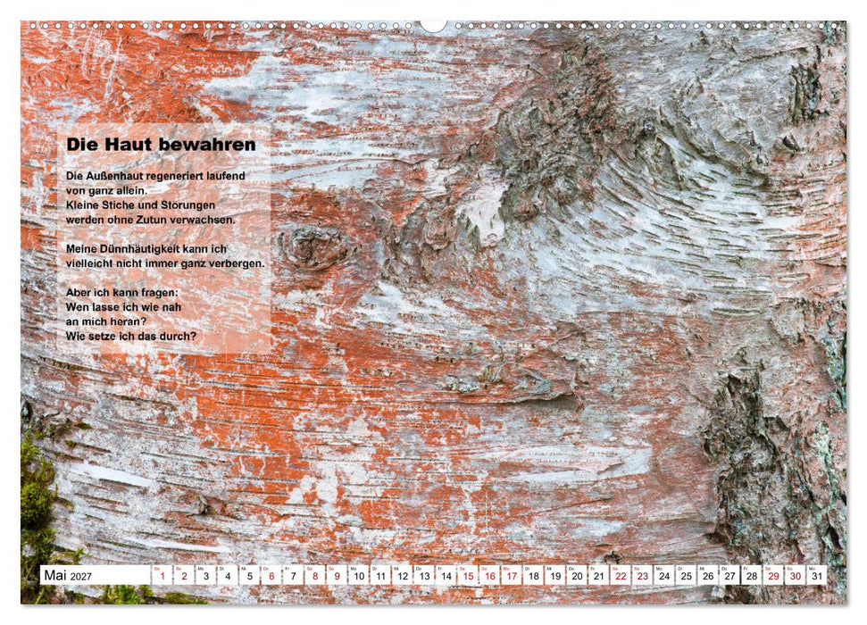 Stehen wie ein Baum (CALVENDO Wandkalender 2027)