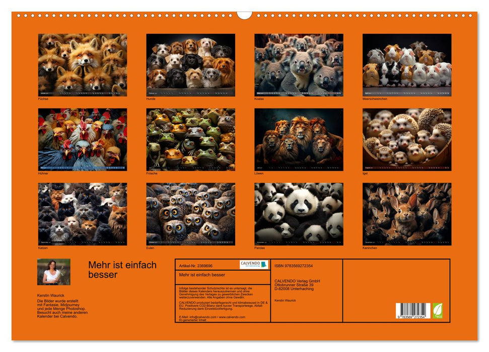 Mehr ist einfach besser (CALVENDO Wandkalender 2027)
