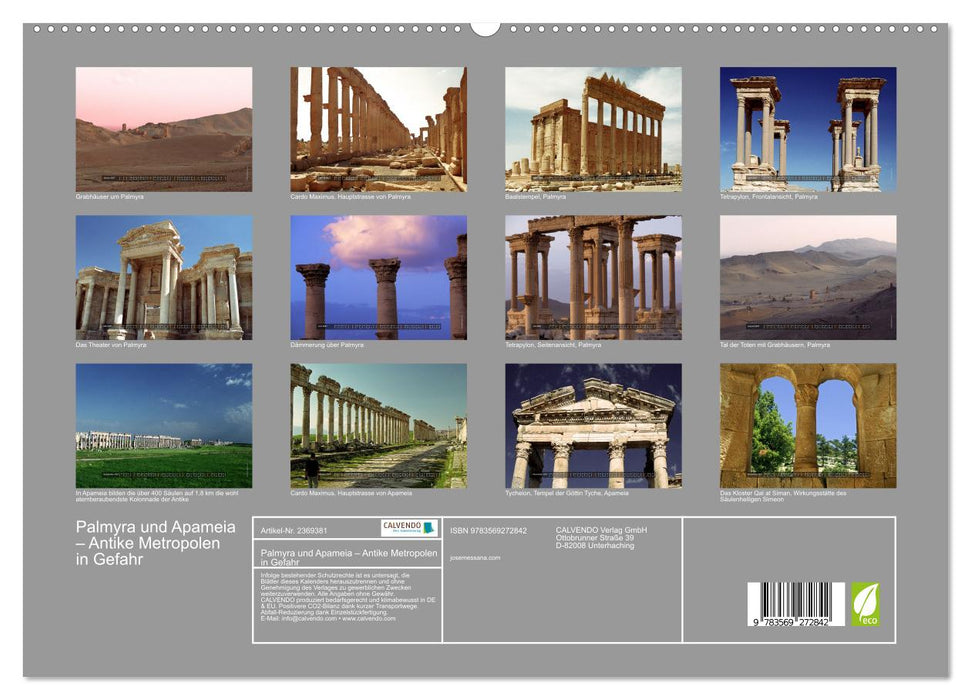 Palmyra und Apameia – Antike Metropolen in Gefahr (CALVENDO Premium Wandkalender 2027)