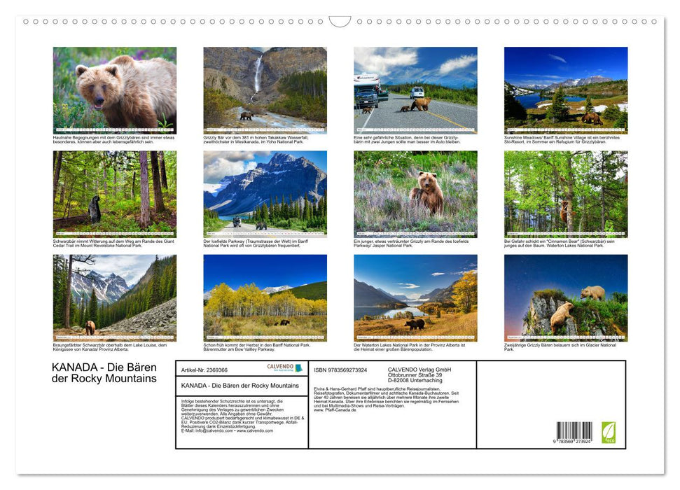 KANADA - Die Bären der Rocky Mountains (CALVENDO Wandkalender 2027)