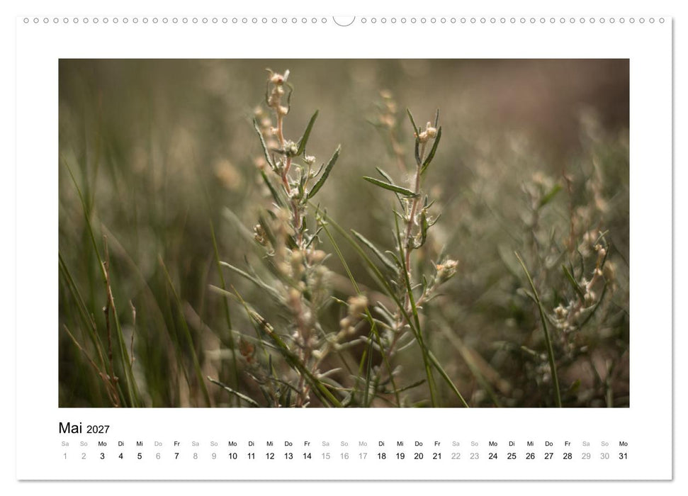 The Rockies - Der Westen Kanadas (CALVENDO Wandkalender 2027)