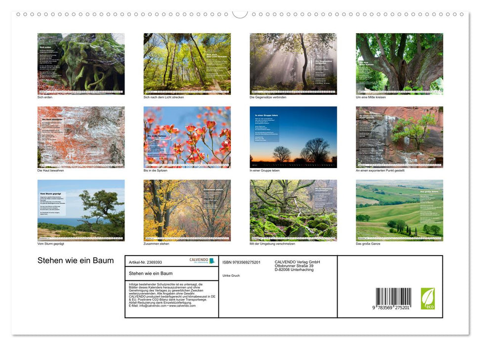 Stehen wie ein Baum (CALVENDO Premium Wandkalender 2027)