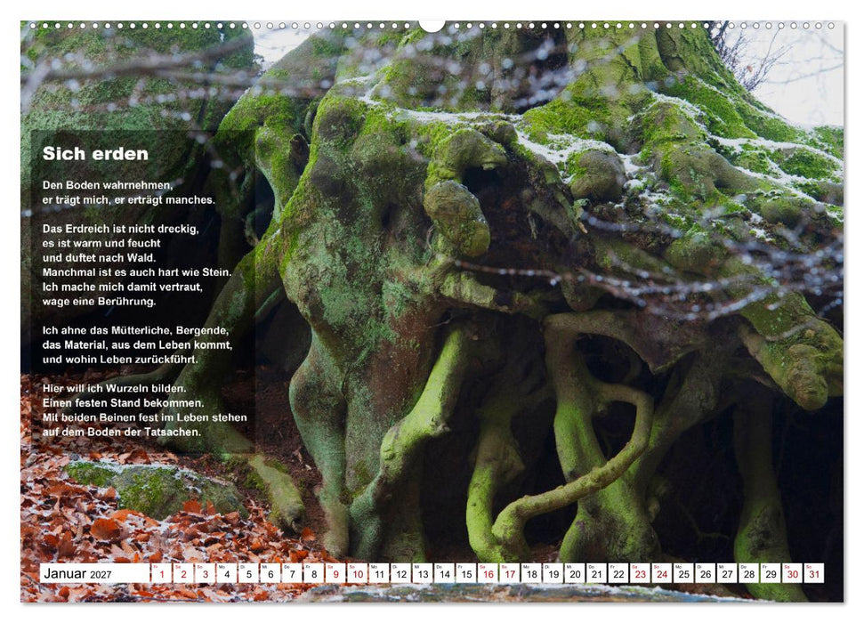 Stehen wie ein Baum (CALVENDO Premium Wandkalender 2027)