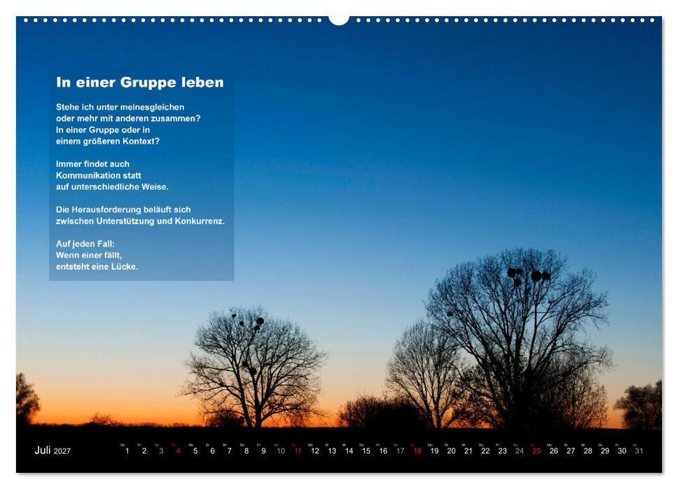 Stehen wie ein Baum (CALVENDO Premium Wandkalender 2027)