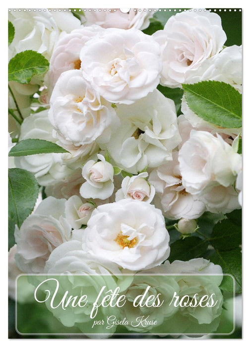 Une fête des roses (CALVENDO Calendrier mensuel 2027)