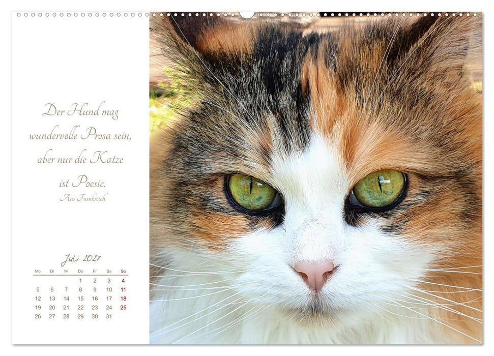 Ich schau dir ins Herz (CALVENDO Premium Wandkalender 2027)
