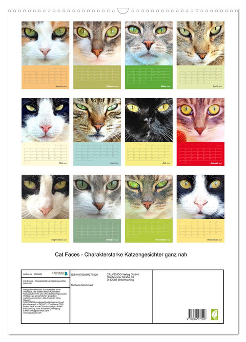Cat Faces - Charakterstarke Katzengesichter ganz nah (CALVENDO Wandkalender 2027)