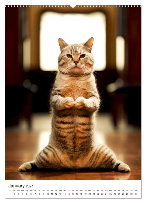 Meow Yoga (CALVENDO Monthly Calendar 2027)