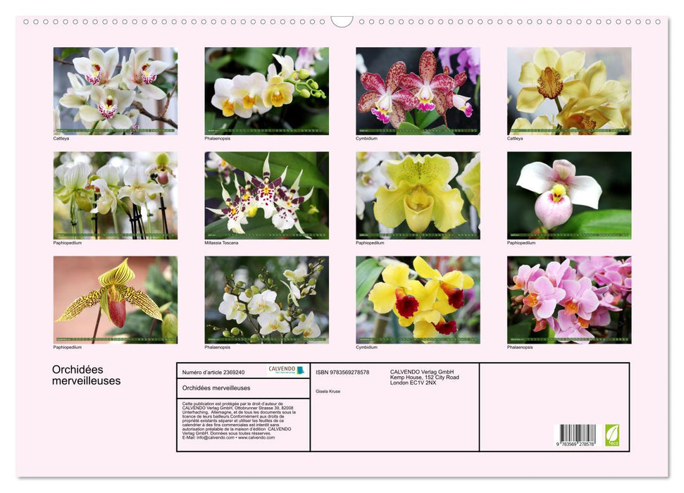 Orchidées merveilleuses (CALVENDO Calendrier mensuel 2027)