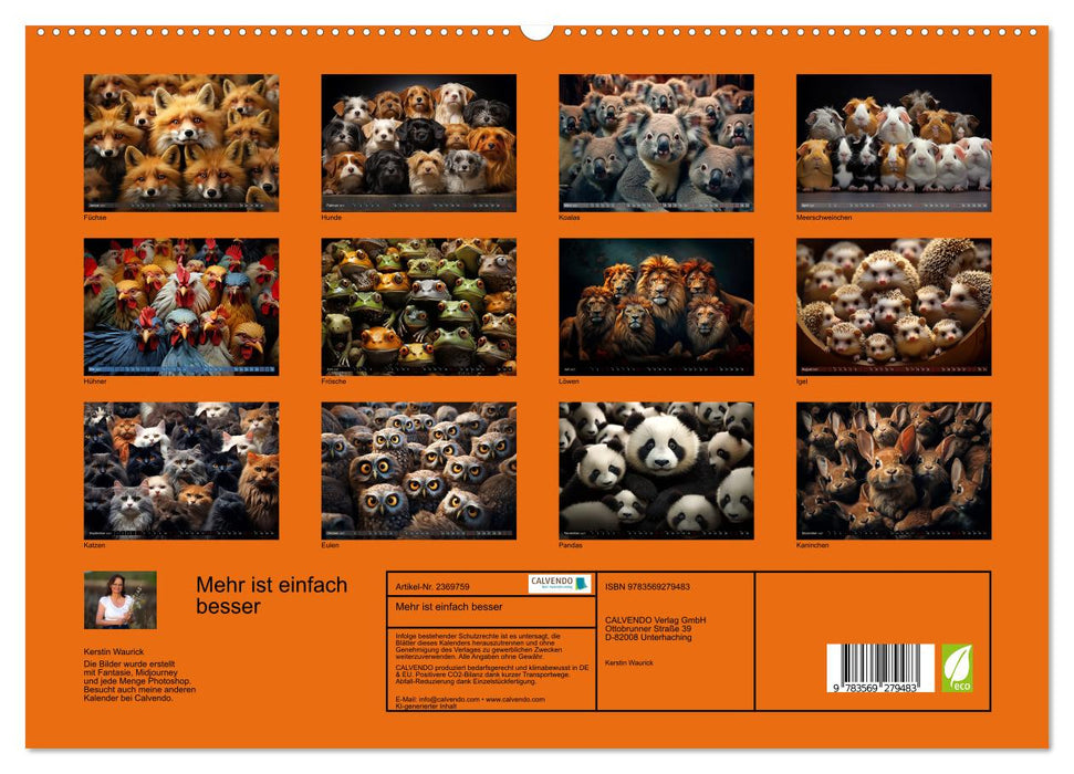 Mehr ist einfach besser (CALVENDO Premium Wandkalender 2027)