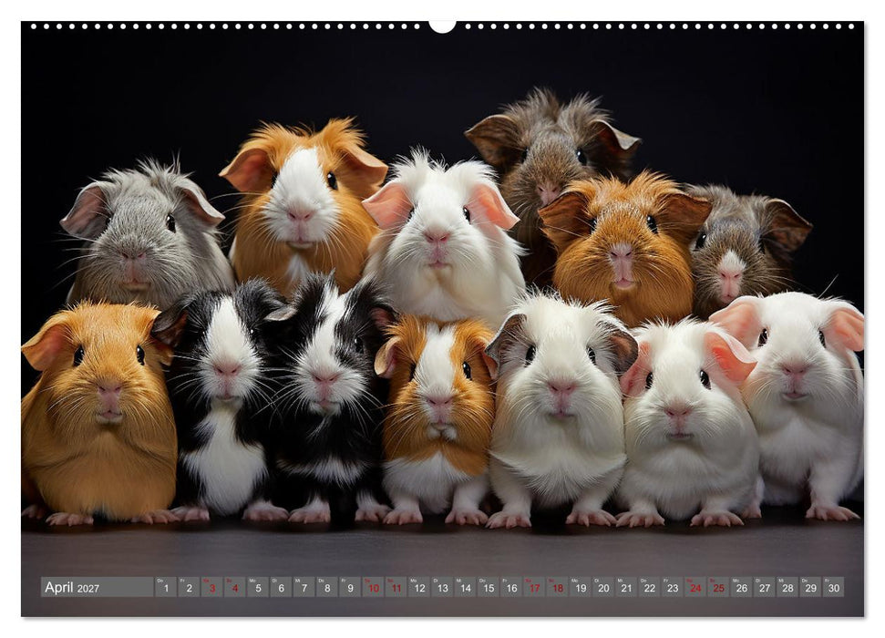 Mehr ist einfach besser (CALVENDO Premium Wandkalender 2027)