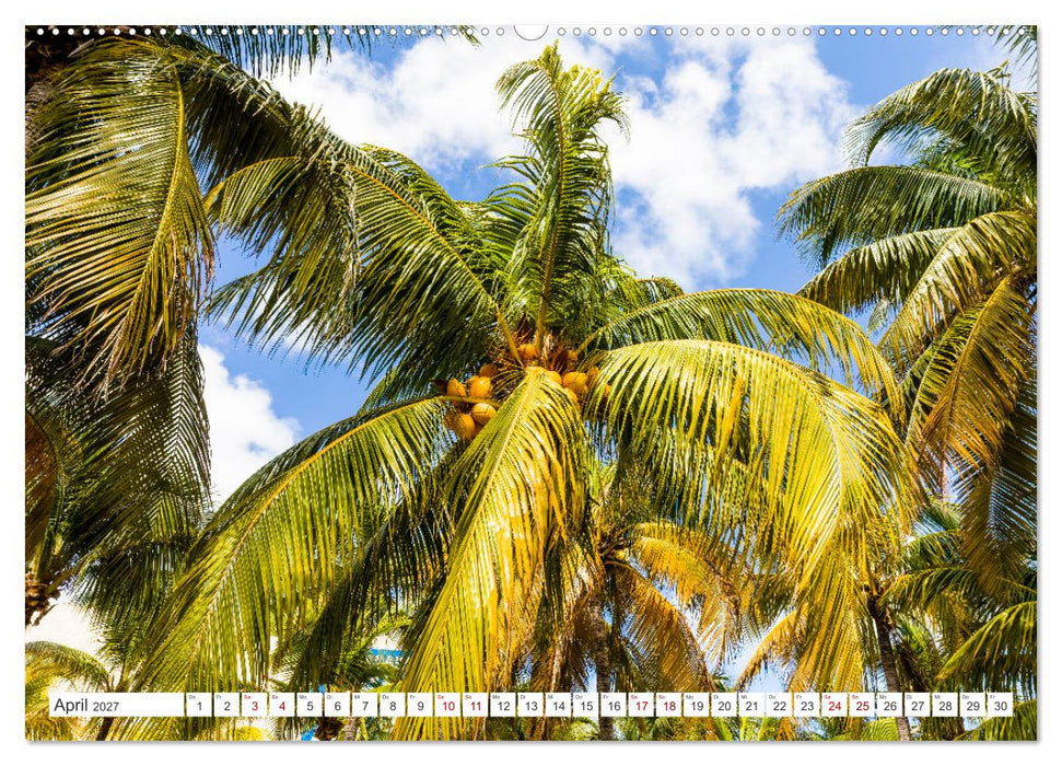 Unterwegs auf Yucatan Mexiko (CALVENDO Premium Wandkalender 2027)