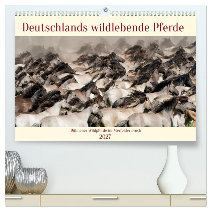 Deutschlands wildlebende Pferde (CALVENDO Premium Wandkalender 2027)