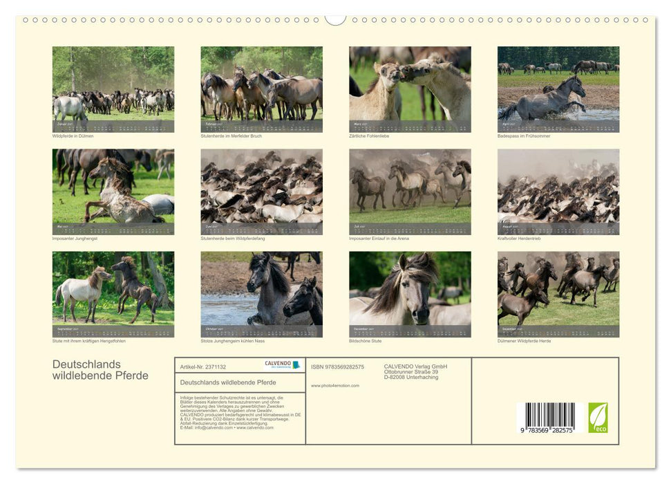 Deutschlands wildlebende Pferde (CALVENDO Premium Wandkalender 2027)