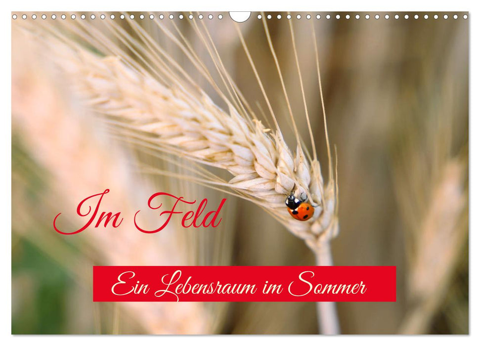 Im Feld (CALVENDO Wandkalender 2027)