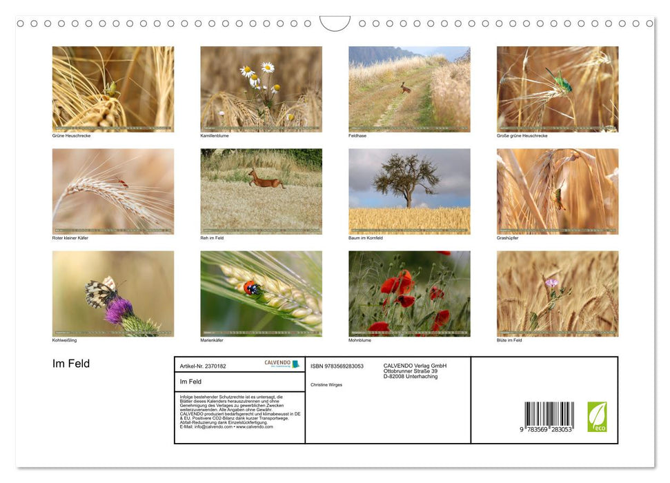 Im Feld (CALVENDO Wandkalender 2027)