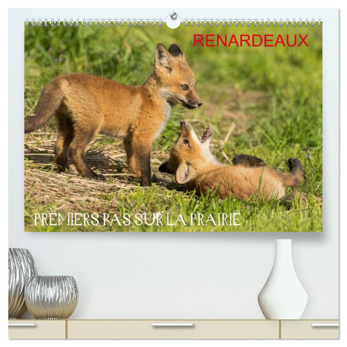 Renardeaux. Premiers pas sur la prairie (CALVENDO Calendrier supérieur 2027)