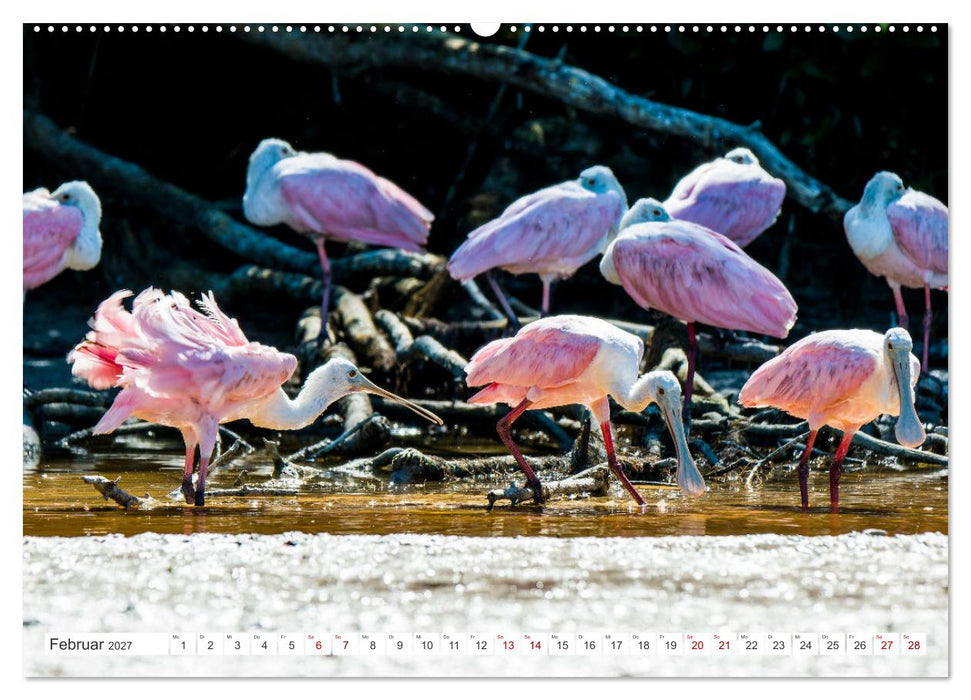 Unterwegs auf Yucatan Mexiko (CALVENDO Wandkalender 2027)