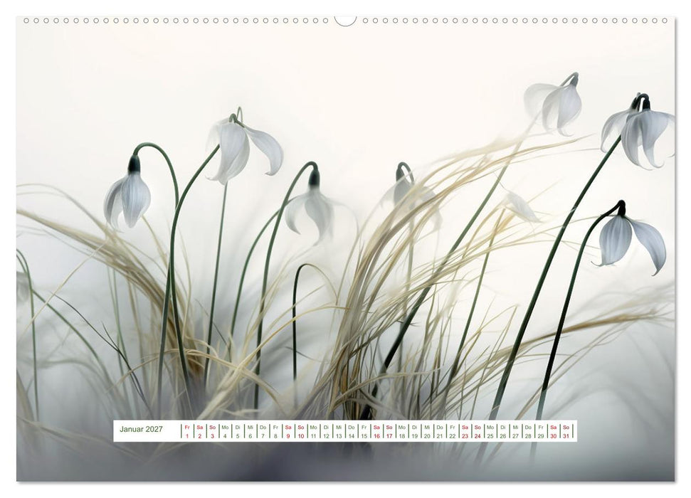 Verzaubernde Blüten (CALVENDO Premium Wandkalender 2027)