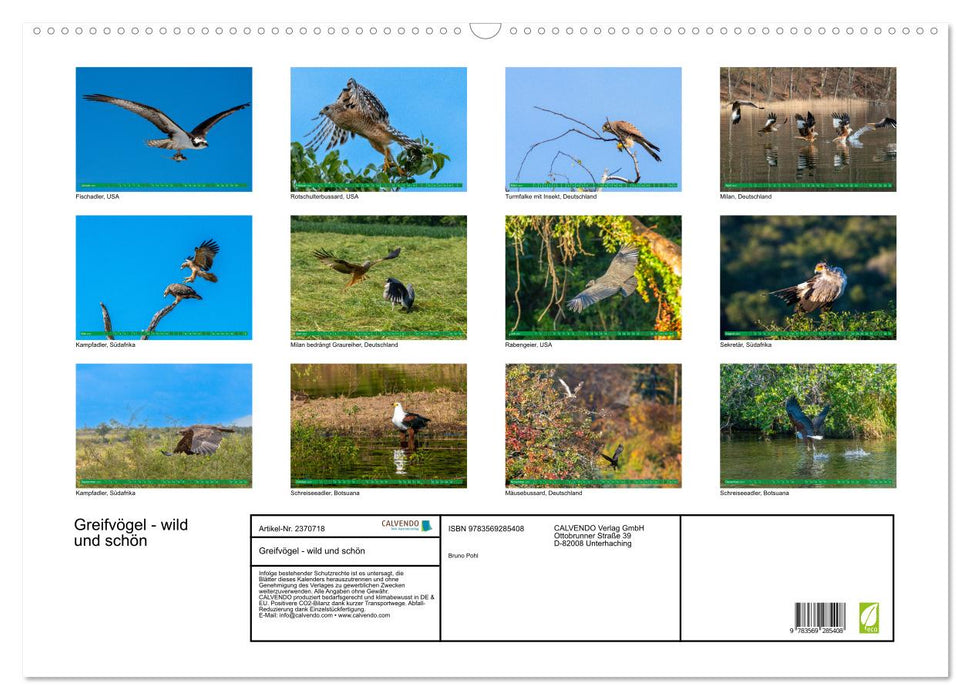 Greifvögel - wild und schön (CALVENDO Wandkalender 2027)