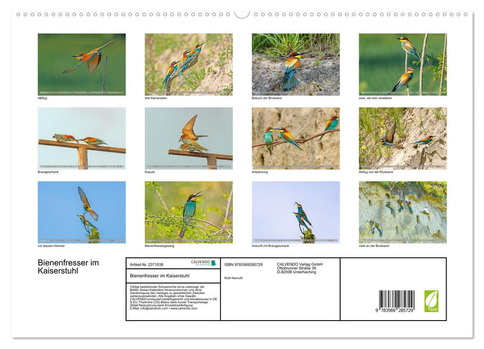Bienenfresser im Kaiserstuhl (CALVENDO Premium Wandkalender 2027)