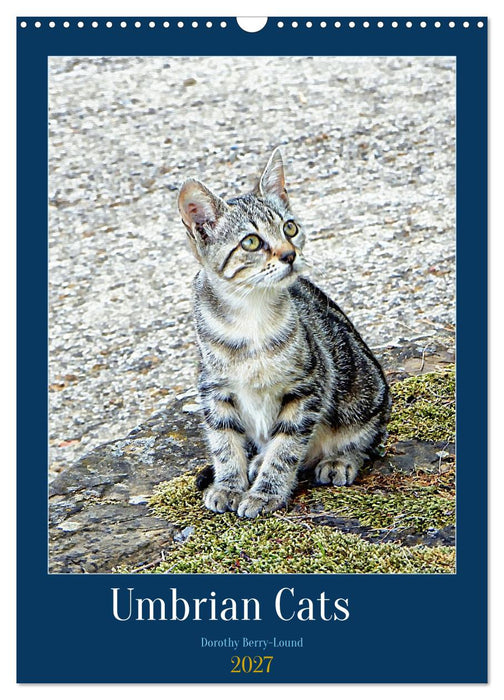 Umbrian Cats (CALVENDO Monthly Calendar 2027)