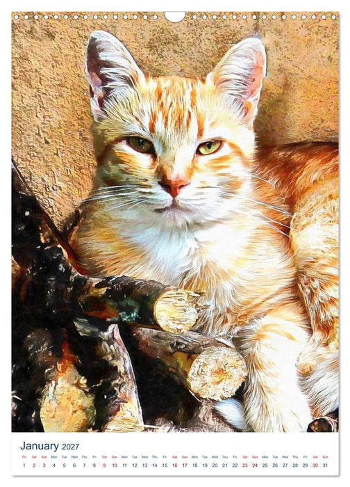 Umbrian Cats (CALVENDO Monthly Calendar 2027)